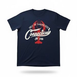 Connecticut full of surprises tee shirt size medium